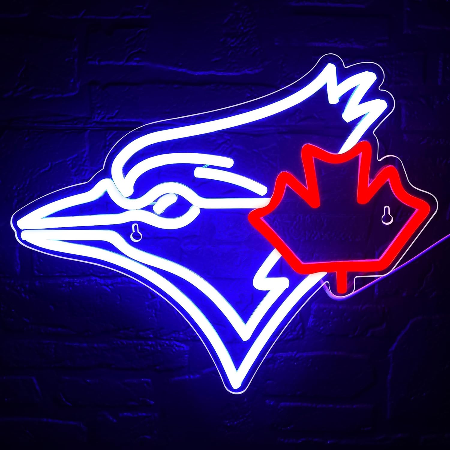 USB Dimmable Blue Jay with Map - đánh giá và giá Jay Lighting Decor
